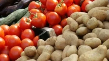 8 جنيهات للطماطم.. قائمة أسعار الخضروات في أسواق سوهاج قبل تعاملات المساء